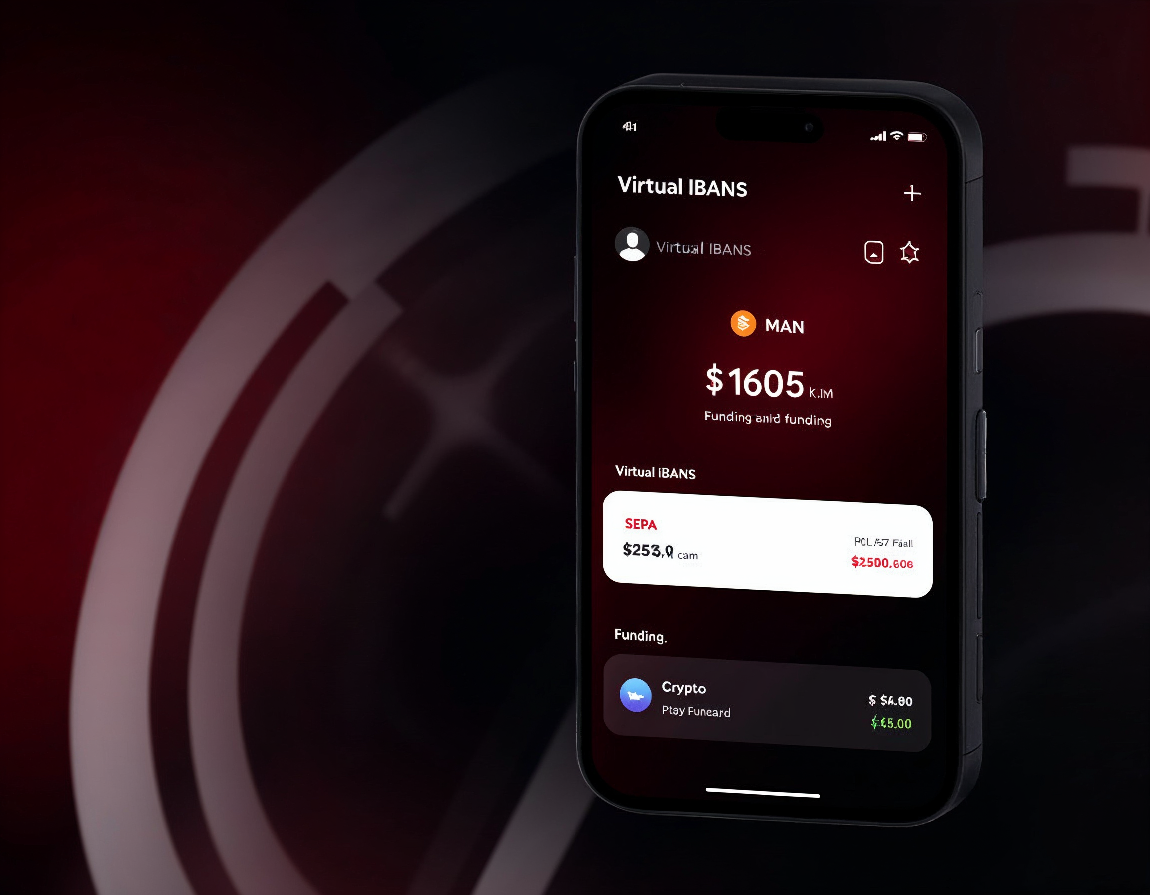 Virtual IBAN Interface